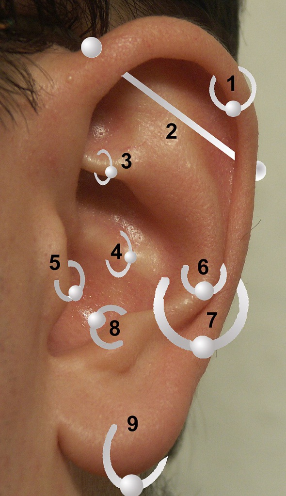positions_of_earrings.jpg